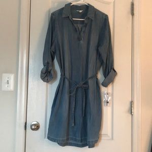 Jean Belted Dress